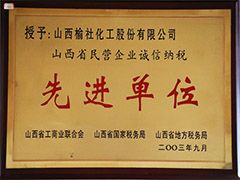 2003年山西省民營企業(yè)企業(yè)先進單位